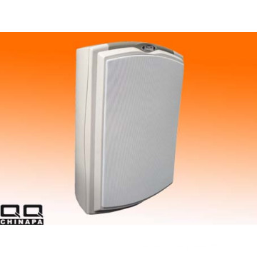 Enceinte murale murale 150W (LBG-36)